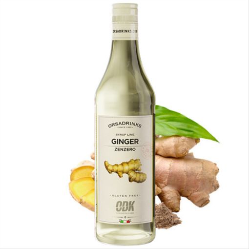 Image de ODK SYRUP LINE GINGER 75cl Glass