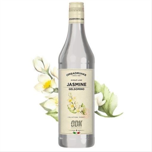 Image de ODK SYRUP LINE JASMINE 75cl Glass