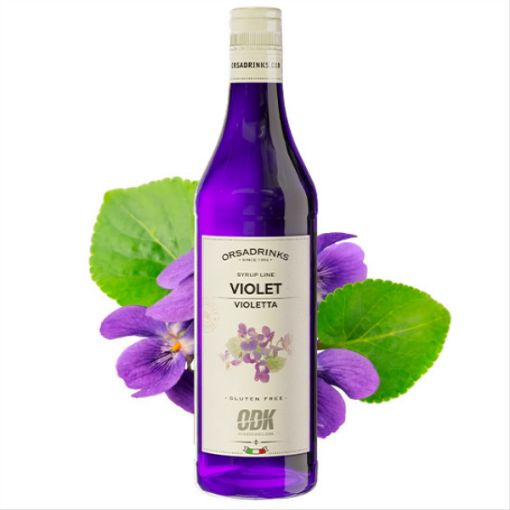 Image de ODK SYRUP LINE VIOLET 75cl Glass